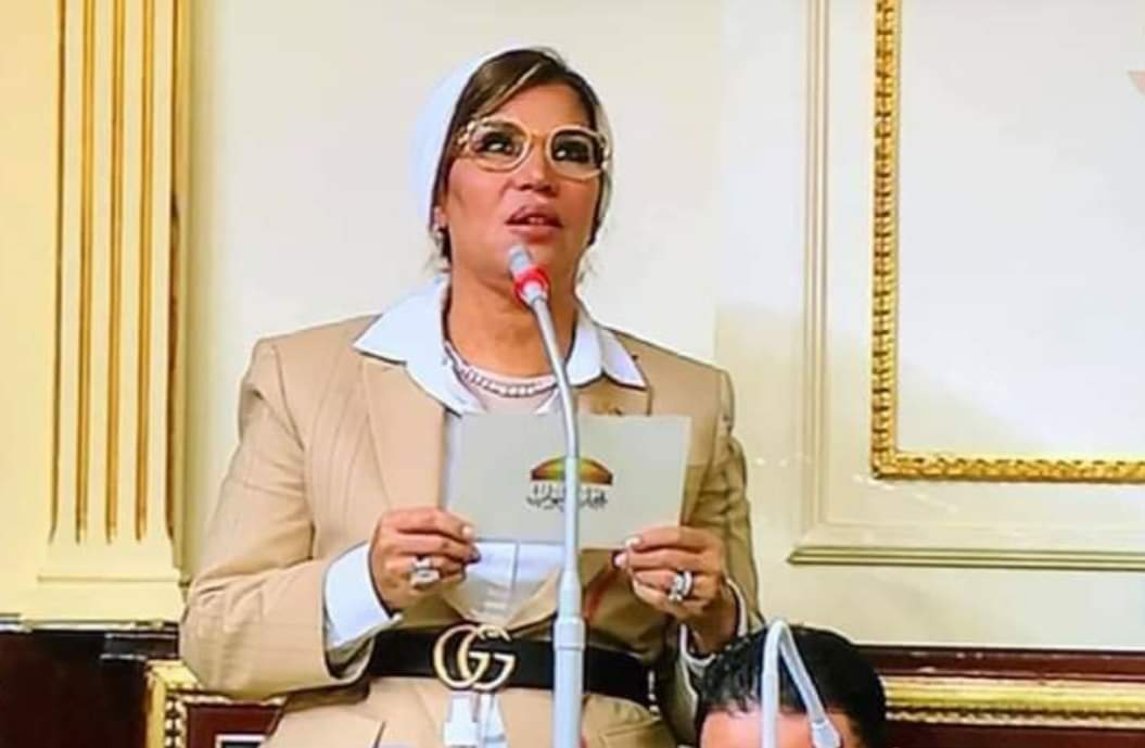 برلمانية: بناء الوعي الرقمي أصبح ضرورة لحماية الأسرة المصرية في عصر التكنولوجيا