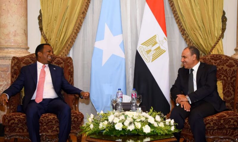 تصريح جديد لوزير خارجية مصر عن أزمة البحارة المختطفين بالصومال.. ماذا قال؟