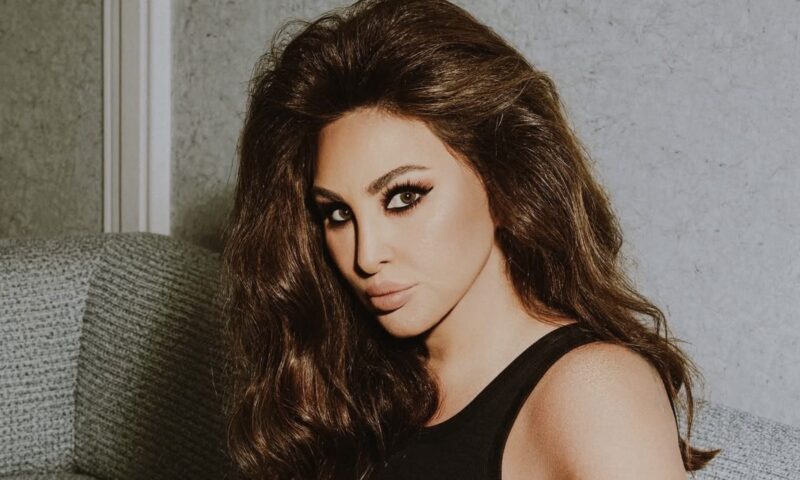 من صوفيا لورين إلى سيندي كروفورد..إليسا بإطلالة “فينتيج” تعيد عقارب الساعة إلى الزمن الجميل