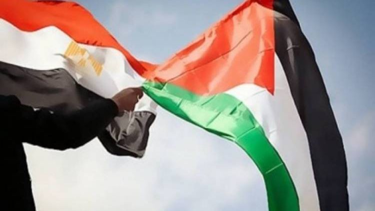 إرادة جيل: التحركات المصرية أعادت القضية الفلسطينية إلى مسارها الصحيح