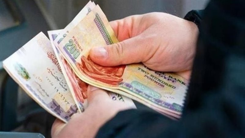 وزير المالية: بدء صرف المرتبات بالزيادة الجديدة للعاملين بالدولة 20 يوليو