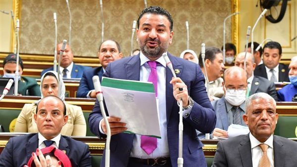 برلماني: تطوير التعليم على أساس الجدارة خطوة استراتيجية لبناء كوادر تنافس عالميًا