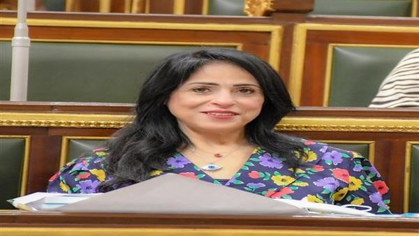 ميرال الهريدى : متابعة الرئيس السيسى لملف التعليم تؤكد أولوية بناء الإنسان