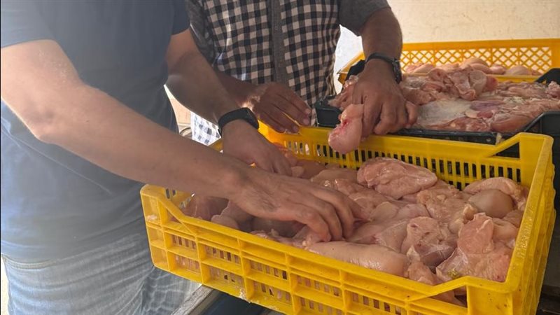 ضبط طن لحوم ودواجن فاسدة في طنطا (صور)