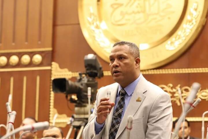 برلماني: كلمة الرئيس في ذكرى ثورة 23 يوليو تؤكد أن الجمهورية الجديدة امتداد لمسيرة الدولة الوطنية