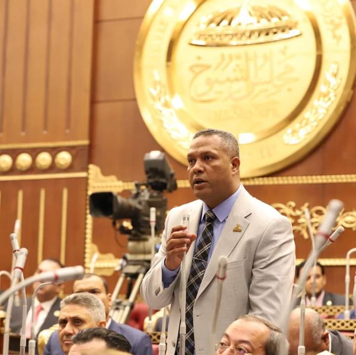 برلماني: كلمة الرئيس في ذكرى ثورة 23 يوليو تؤكد أن الجمهورية الجديدة امتداد لمسيرة الدولة الوطنية