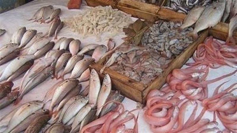 أسعار السمك اليوم الخميس، انخفاض المكرونة 30 جنيها والجمبري 50 ومفاجأة عن البلطي