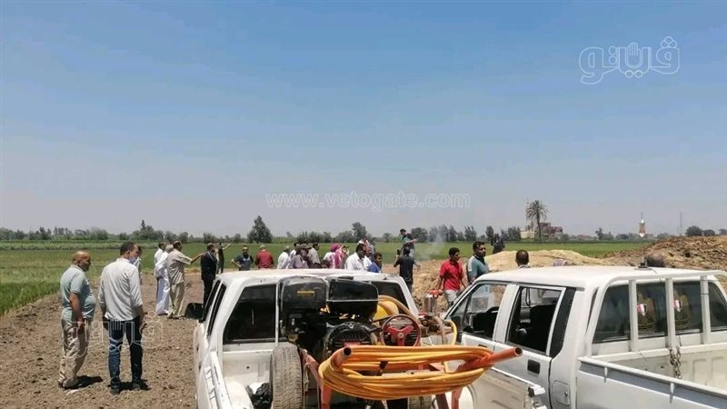 هل عاد شبح الثعابين؟.. وفاة سيدة وطفل بالشرقية تفتح ملف الزواحف السامة في القرى