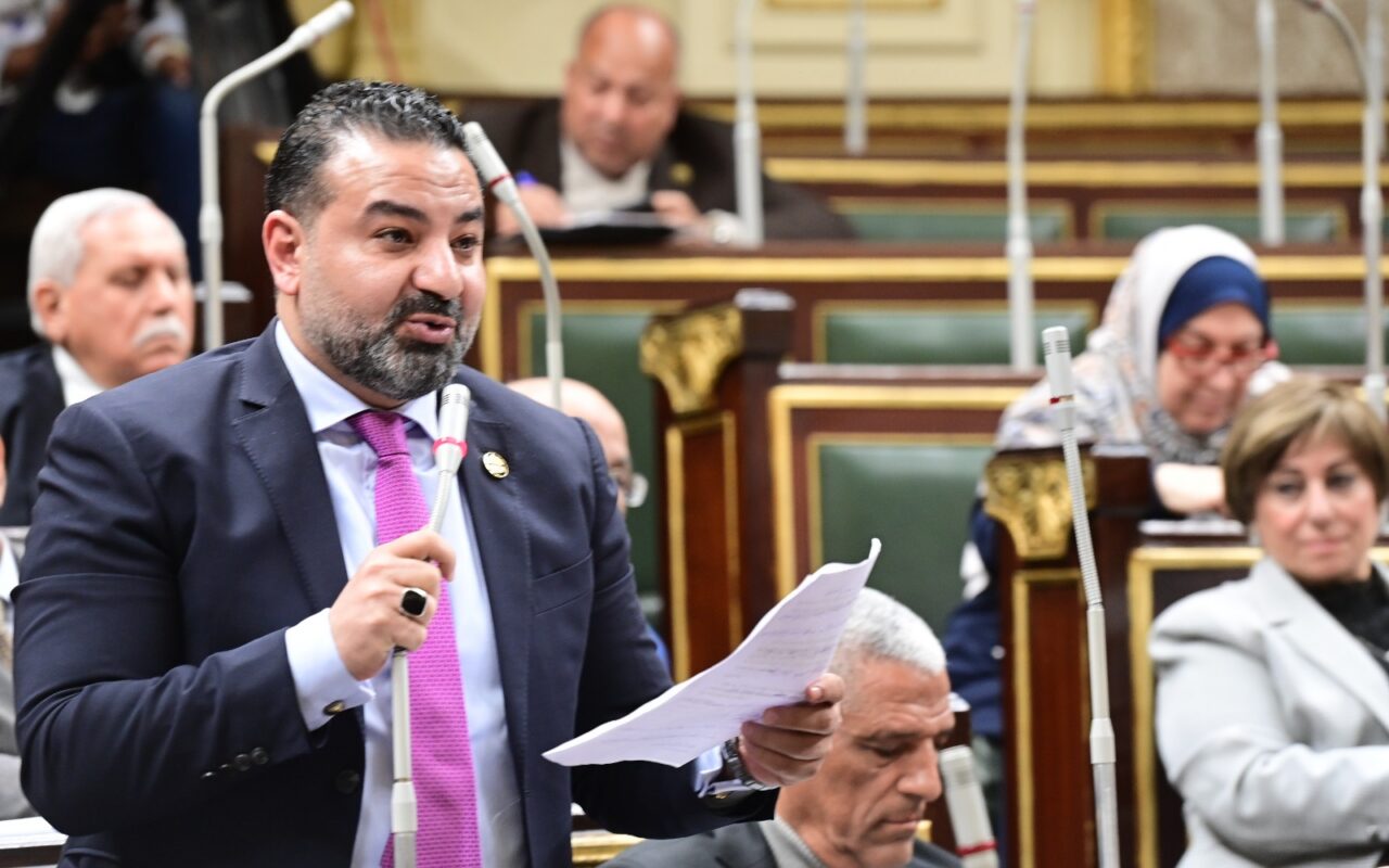 برلماني : صدارة مصر لإفريقيا في الاستثمارات الأجنبية رسالة ثقة عالمية بقوة الاقتصاد الوطني