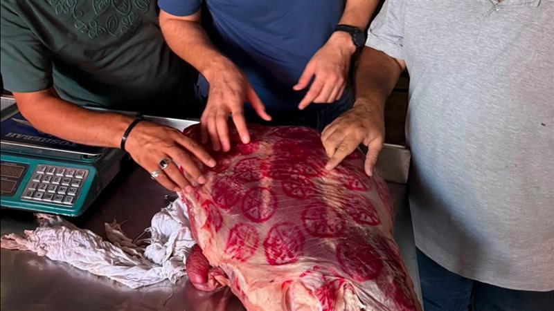 ضبط 1.3 طن لحوم ودواجن فاسدة في الغربية (صور)