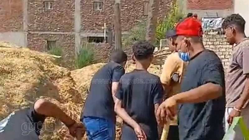 بعد وفاة الطفلة ملك عصام بلدغة كوبرا، ماذا كشفت لجنة التفتيش داخل المستشفى؟