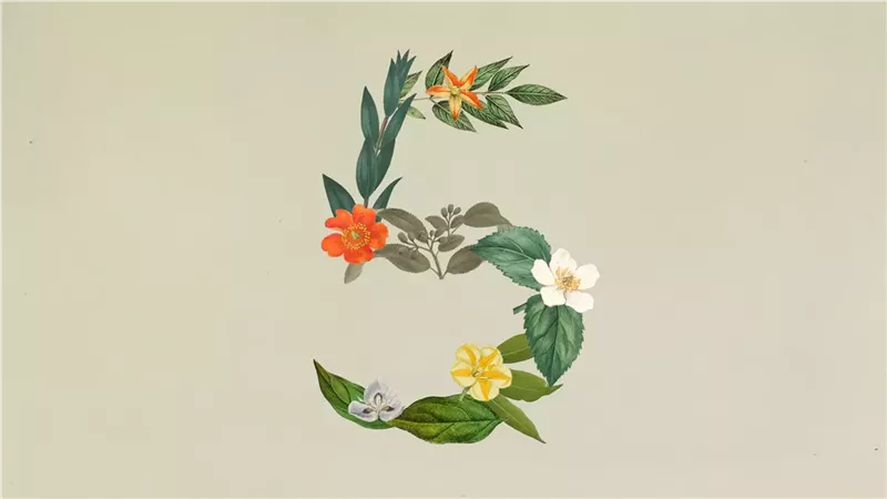 إطلاق Claude Sonnet 5، كل ما تريد معرفته عن أحدث نموذج ذكاء اصطناعي من أنثروبيك