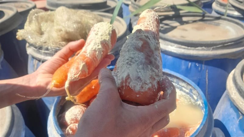 ضبط 12 طن أغذية فاسدة في البحيرة