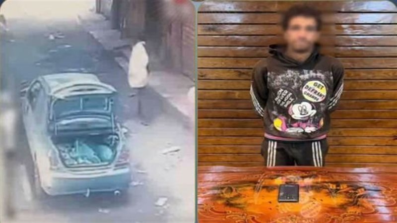 القبض على عاطل بتهمة سرقة هاتف محمول من داخل سيارة بالقليوبية (فيديو)