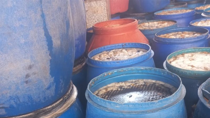 شئون البيئة بالشرقية: تحرير 100 محضر خلال حملات تفتيشية على المنشآت الغذائية