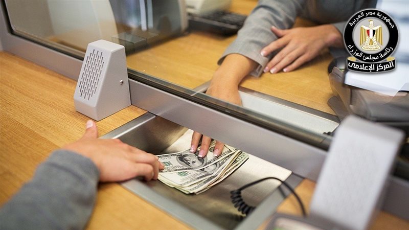 43.1 مليار دولار حصيلة تحويلات المصريين العاملين بالخارج خلال 11 شهرا