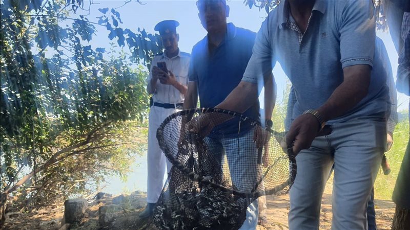 إلقاء 500 ألف زريعة بلطي في المسطحات المائية بالدقهلية