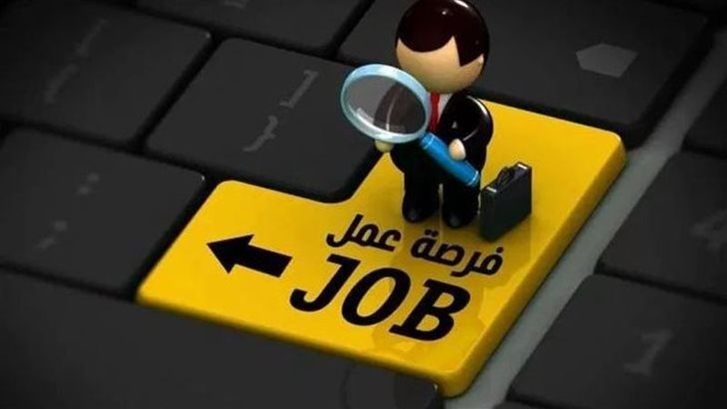 وظائف خالية بمحافظة الجيزة 2026، فتح باب التقديم لعدد من التخصصات