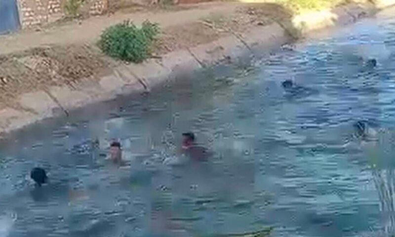 زغاريد وغطس.. أغرب “حنة” لعريس مصري هرباً من الحر الخانق