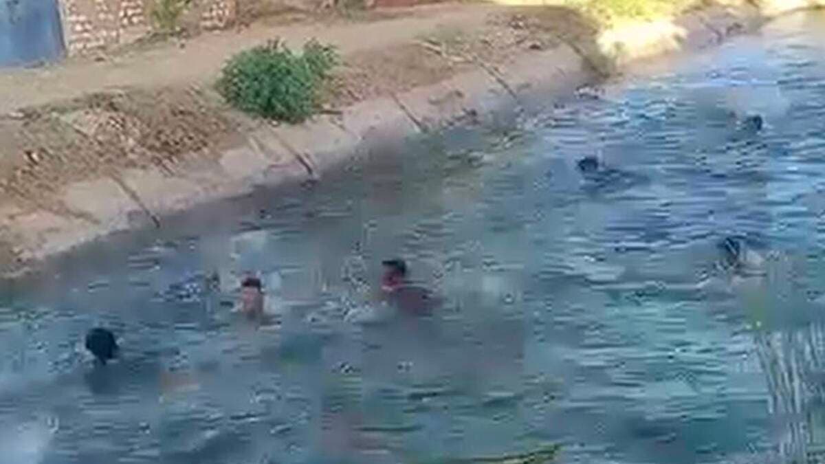 زغاريد وغطس.. أغرب “حنة” لعريس مصري هرباً من الحر الخانق