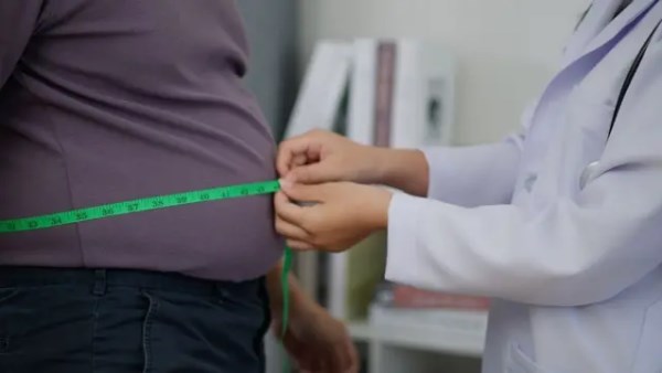 مكمل غذائي مصري طبيعي لإنقاص الوزن يقترب من الإنتاج والطرح بالسوق