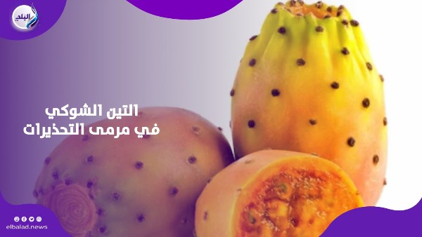 ليس مفيدًا للجميع.. متى يصبح التين الشوكي خطرًا على الكلى؟