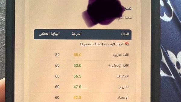 بلوجر تثير الجدل: نتيجة الثانوية العامة ظهرت لابني.. والتعليم تنفي وتحذر|القصة كاملة