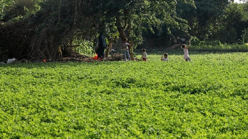 دينية النواب تفتح ملف ارتفاع قيمة أراضي الأوقاف وإجراءات التقنين