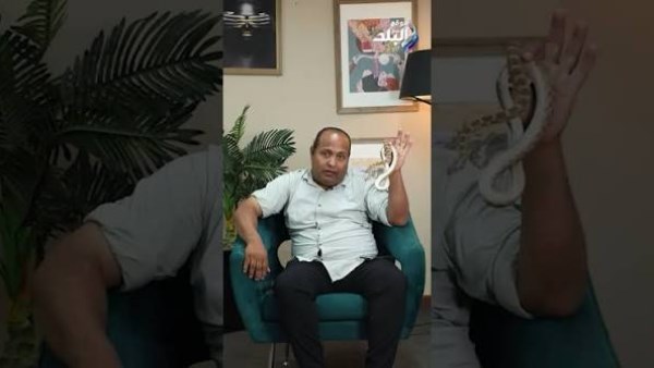 لو طفلك شاف ثعبان.. اعرف تعلّمه يعمل إيه فورًا ..فيديو