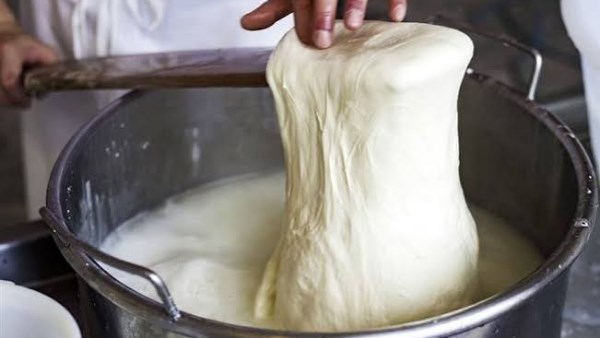 بخطوات سهلة .. طريقة عمل الجبن من اللبن الرايب في المنزل