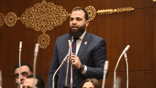 برلماني: خفض الأسعار لن يتحقق بزيادة المنافذ فقط بل بمنظومة متكاملة تمنع الاحتكار