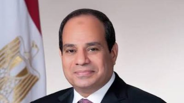 برلماني: تحركات الرئيس السيسي الخارجية تعزز مكانة مصر وترسخ الأمن العربي