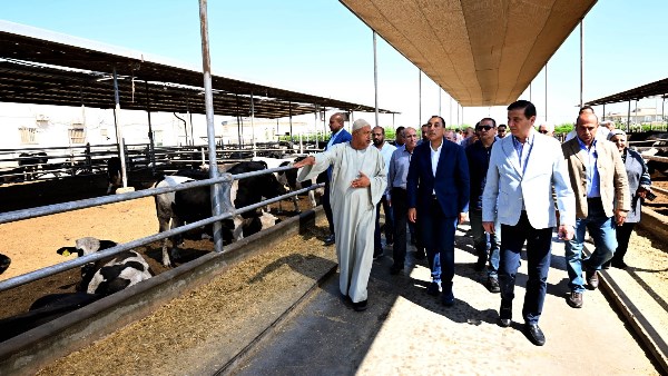 وزير الزراعة: نتوسع في برامج التحسين الوراثي لسلالات الثروة الحيوانية