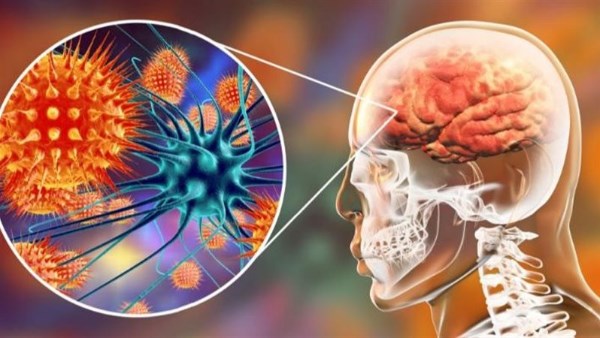 خضار غير متوقع يحمي القلب والدماغ