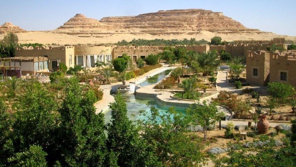 علي غنيم: السياحة العلاجية وراء زيادة الإقبال على واحة سيوة
