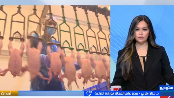 مدير عام المجازر توضح حقيقة حقن الفراخ بالهرمونات
