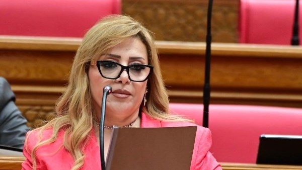 هبة غالي: زيارة الرئيس لـ تنزانيا تعكس نجاح دبلوماسية مصر بالقارة السمراء