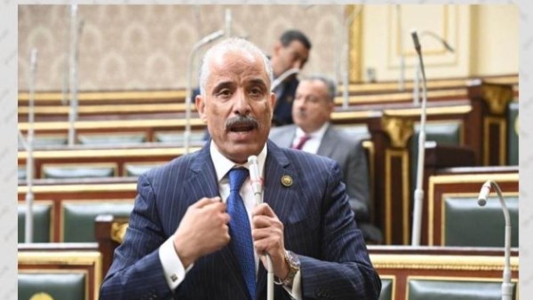 برلماني: تصدر مصر القارة الإفريقية في جذب الاستثمارات يعكس نجاح الدولة في بناء مناخ اقتصادي تنافسي