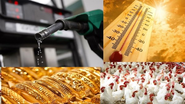 أخبار التوك شو | أسعار البنزين والسولار.. مفاجأة بشأن الذهب والدولار وحالة الطقس