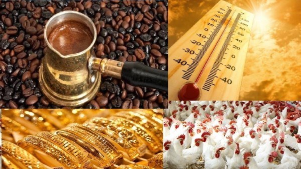 أخبار التوك شو| الأرصاد تكشف موعد تراجع درجات الحرارة.. تفاصيل خطة تطوير منظومة الدعم ومنافذ صرف السلع