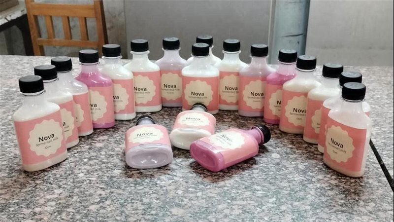 طلاب زراعة بنها يبتكرون “Nova” من لبن الإبل يجمع بين الفوائد الصحية والجودة الغذائية