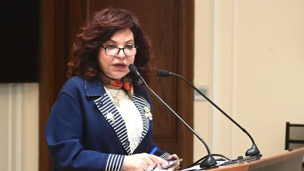 طلب إحاطة بشأن منصات مزيفة لبيع تذاكر المتحف المصري الكبير
