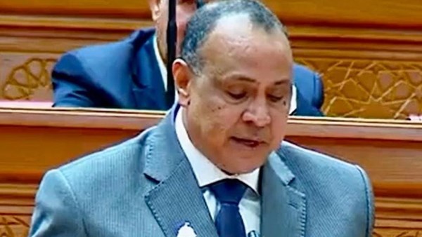نائب: مصر تقود جهود التهدئة الإقليمية بحكمة ومسؤولية وتحمي استقرار المنطقة