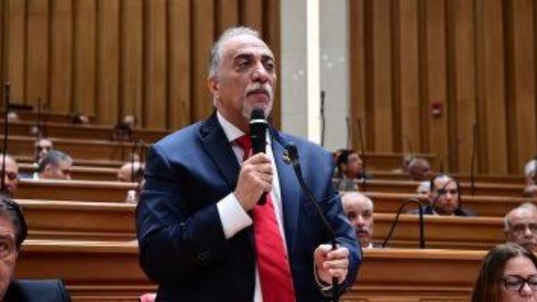 برلماني:  الاصطفاف خلف الدولة واجب وطني لحماية أمن مصر واستقرارها