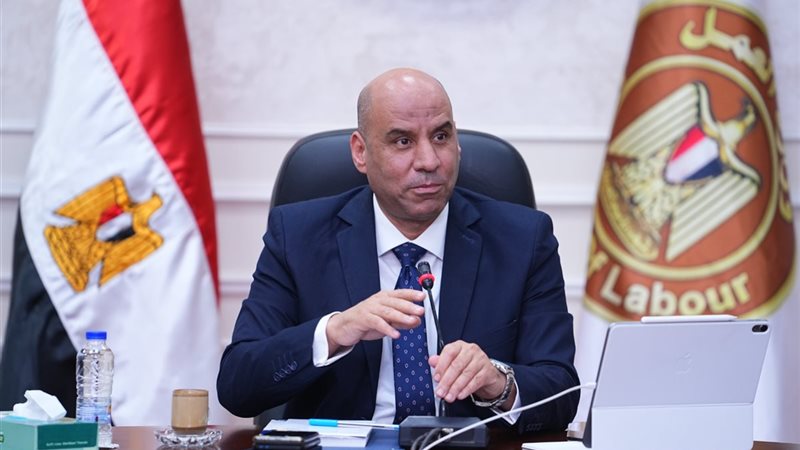 وزير العمل: شركات إلحاق العمالة شريك استراتيجي لتوفير وظائف آمنة ولائقة للمصريين