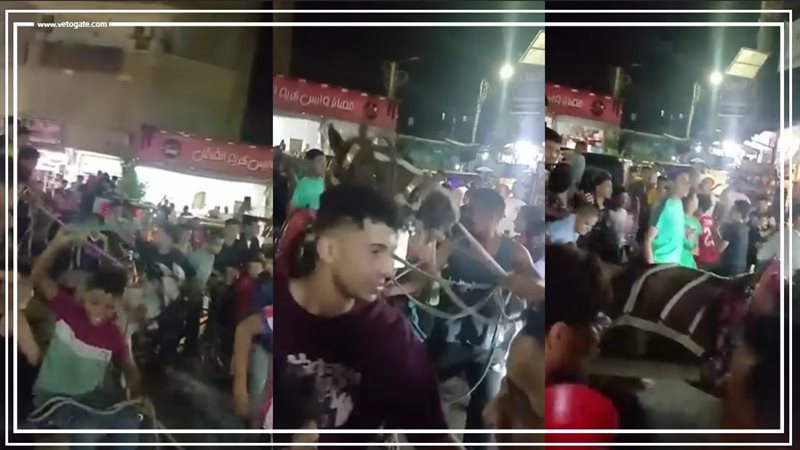 بعربات الكارو، شباب أسيوط يطوفون الشوارع احتفالا بتأهل مصر لدور الـ 16 (فيديو)