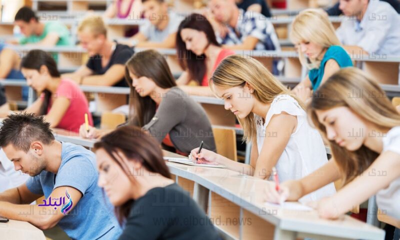 مش لازم كليتك تحدد مستقبلك| التدريب التحويلي يفتح مسارات جديدة للشباب.. اعرف التفاصيل