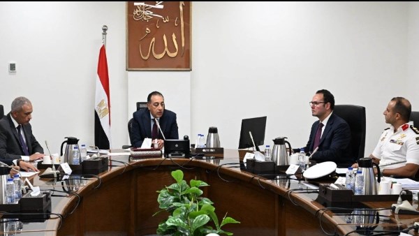 رئيس الوزراء يتابع منظومة التعامل مع ظاهرة الكلاب الضالة