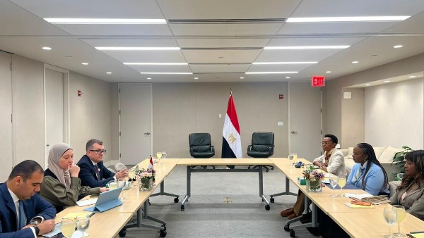 وزير التخطيط: مصر ضمن 10 دول فقط عالميًا قدمت 4 تقارير طوعية عن التنمية المستدامة