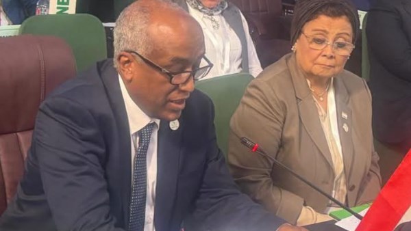 نائب وزير الخارجية يترأس الوفد المصري المشارك في القمة الاستثنائية للصحة بأفريقيا